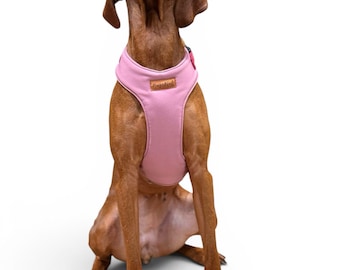 Rainfleece Harnesses/Waterproof, Step In Dog Harnesses/Comfortable Harness For Dogs