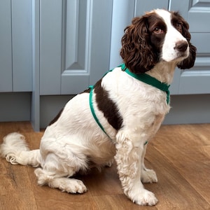 Strap Harnesses/Waterproof, Step In Dog Harnesses/Comfortable Harness For Dogs/Summer Dog Harness
