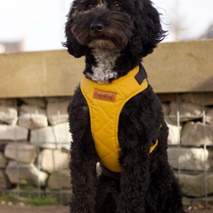 Venture Harnesses/Waterproof, Step In Dog Harnesses/Comfortable Harness For Dogs
