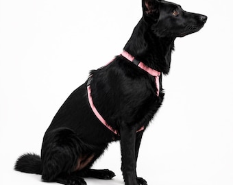 Waterproof Step-In Dog Harness: Lightweight Polyester, Adjustable Fit