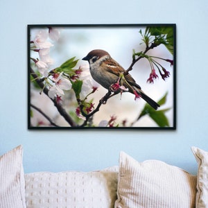 Sparrow enjoying Sakura Blossom Japan Photography Digital Download, Nature, Animal Print