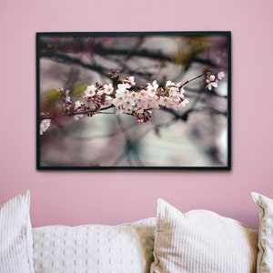 Sakura Cherry Blossom Japan Photography Digital Download, Nature Print