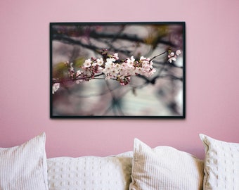 Sakura Cherry Blossom Japan Photography Digital Download, Nature Print
