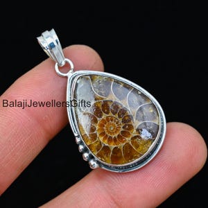 May include: Silver pendant featuring a fossilized ammonite in a teardrop shape. The ammonite is a spiral pattern of brown and gold colors.