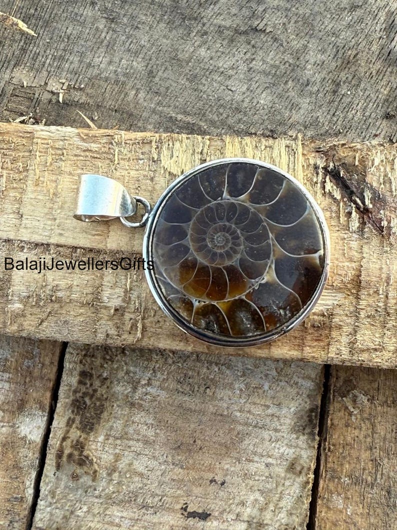 May include: A silver pendant featuring a fossilized ammonite with a brown and gold swirl pattern.