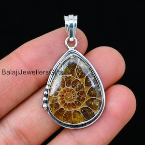 May include: A silver pendant featuring a fossilized ammonite in a teardrop shape. The ammonite is brown and gold with a spiral pattern. The pendant is approximately 2 inches long.