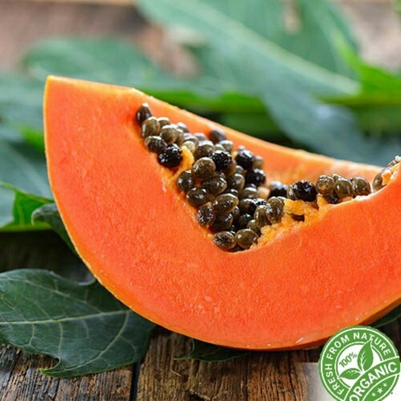 Papaya SeedsFlorida red papaya Pure Organic NaturalHand Etsy