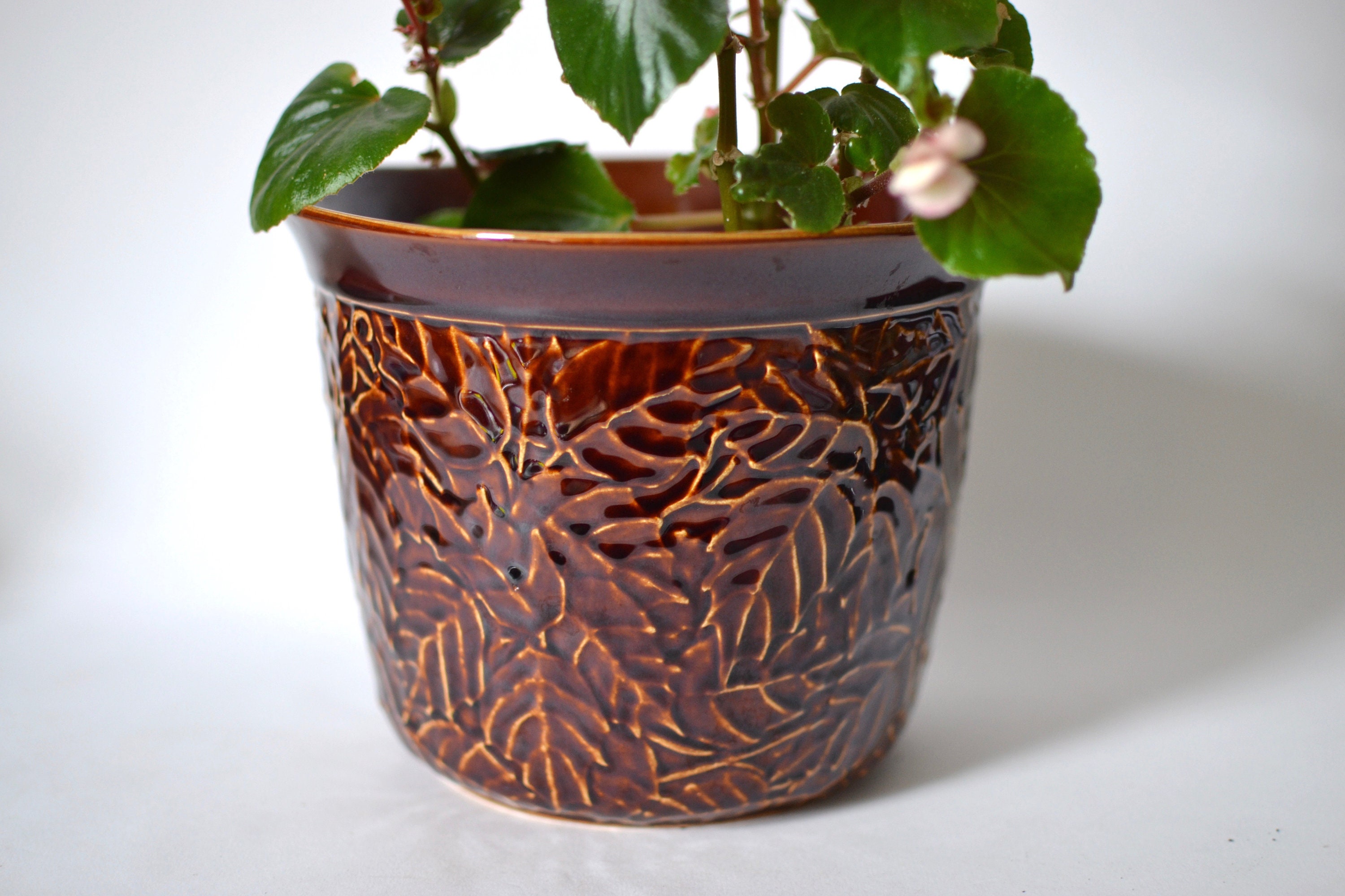 Poole Pottery Large Planter 1960s Vintage Impressed Leaves Etsy