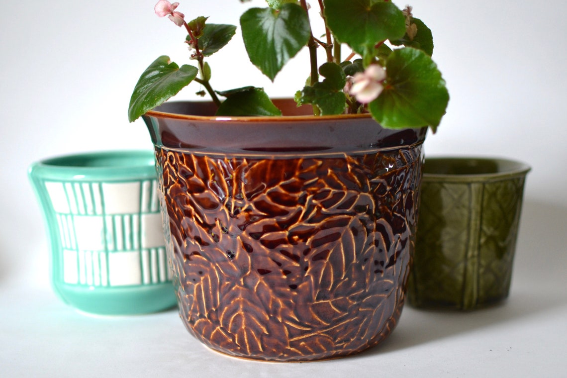 Poole Pottery Large Planter 1960s Vintage Impressed Leaves Etsy