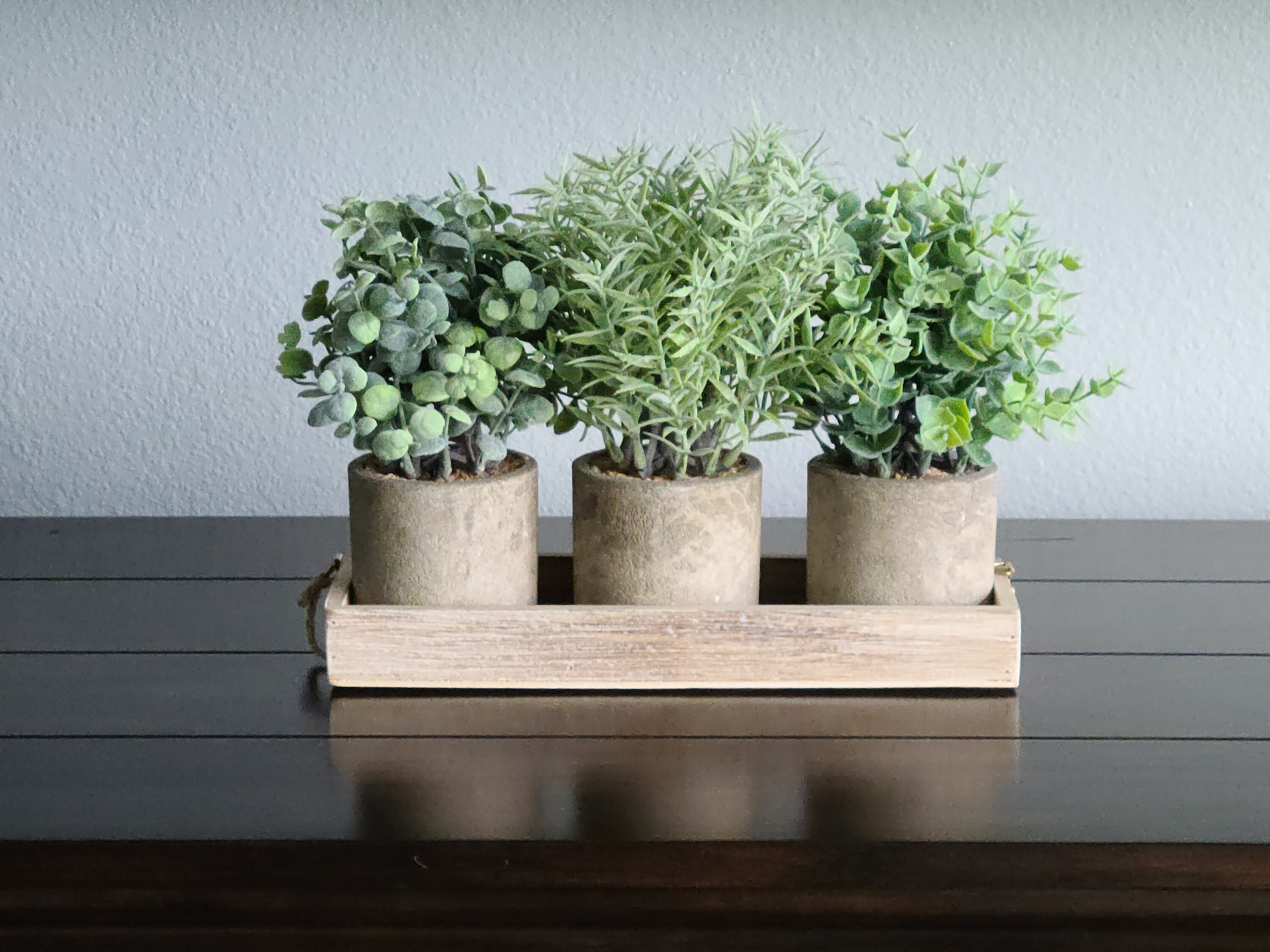 Eucalyptus Plant Artificial Set of 3 Rustic Decor Indoor Etsy Canada