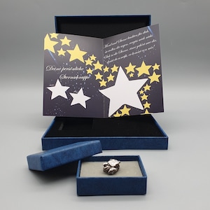 Shooting Star Gift Set Meteorite Certificate of Authenticity with space for dedication