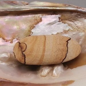 Landschaftsjaspis Seifenstein Handschmeichler