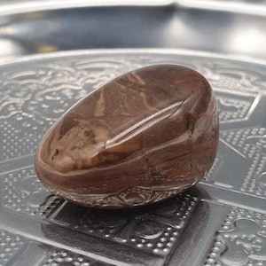 Petrified Wood Tumbled Stone