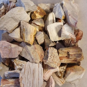 Versteinertes Holz 100g  [GP 39/Kg]  Wassersteine , Rohsteine zur Wasseraufbereitung