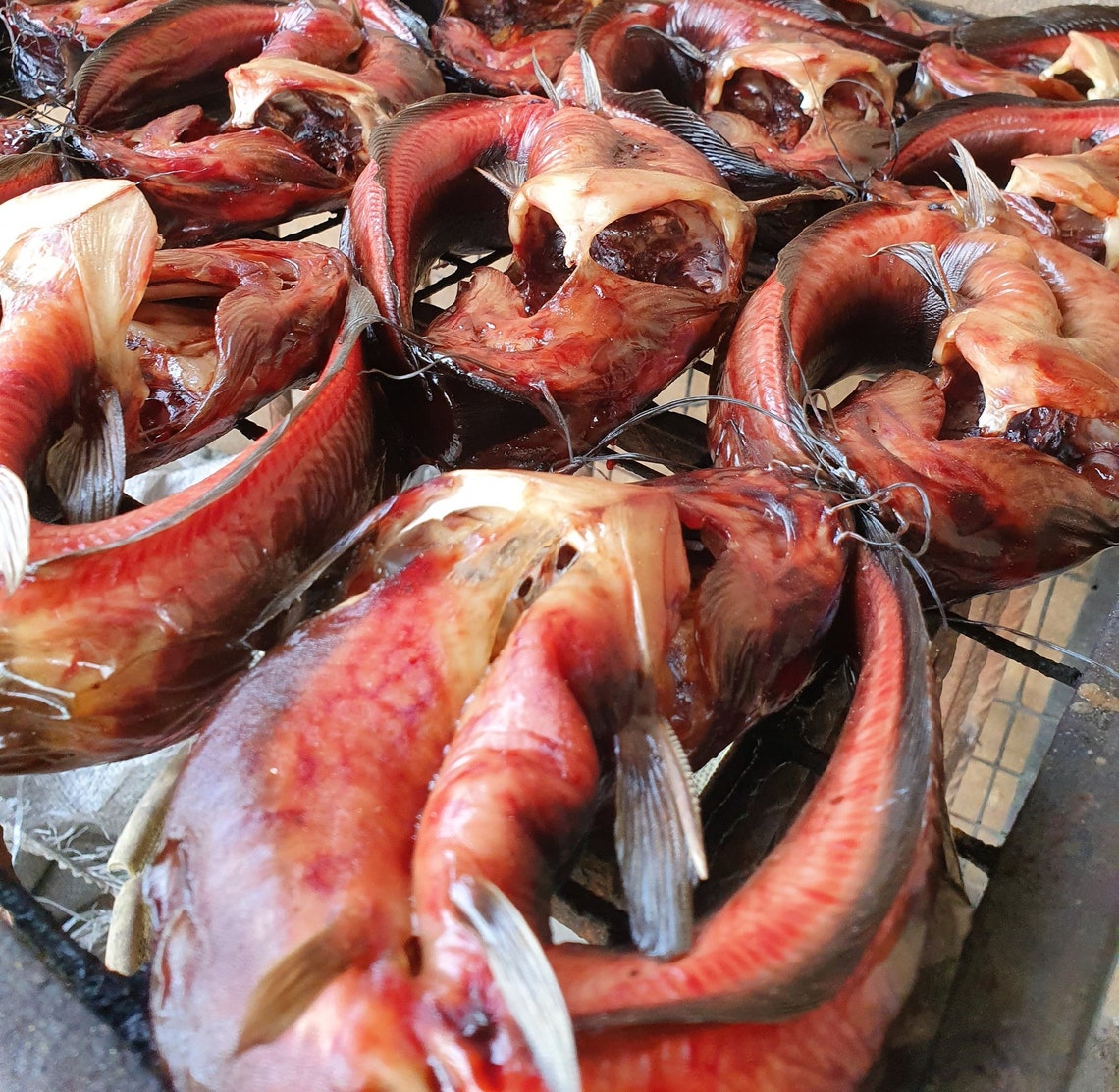 Freshly Smoked Dried Organic Catfish 4 Large Pieces Etsy