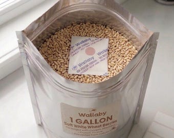 42 lb Case Organic Soft White Wheat Berries Long Term Storage Mylar Bag