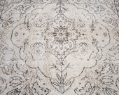 Articolo da questo negozio