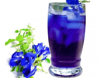 Blue Butterfly Pea Flower Seeds Organic 15 seeds