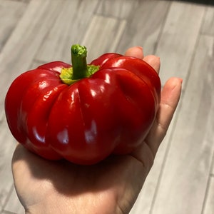 Sweet PRITAMIN pepper Hungarian variety organically grown 20 seeds
