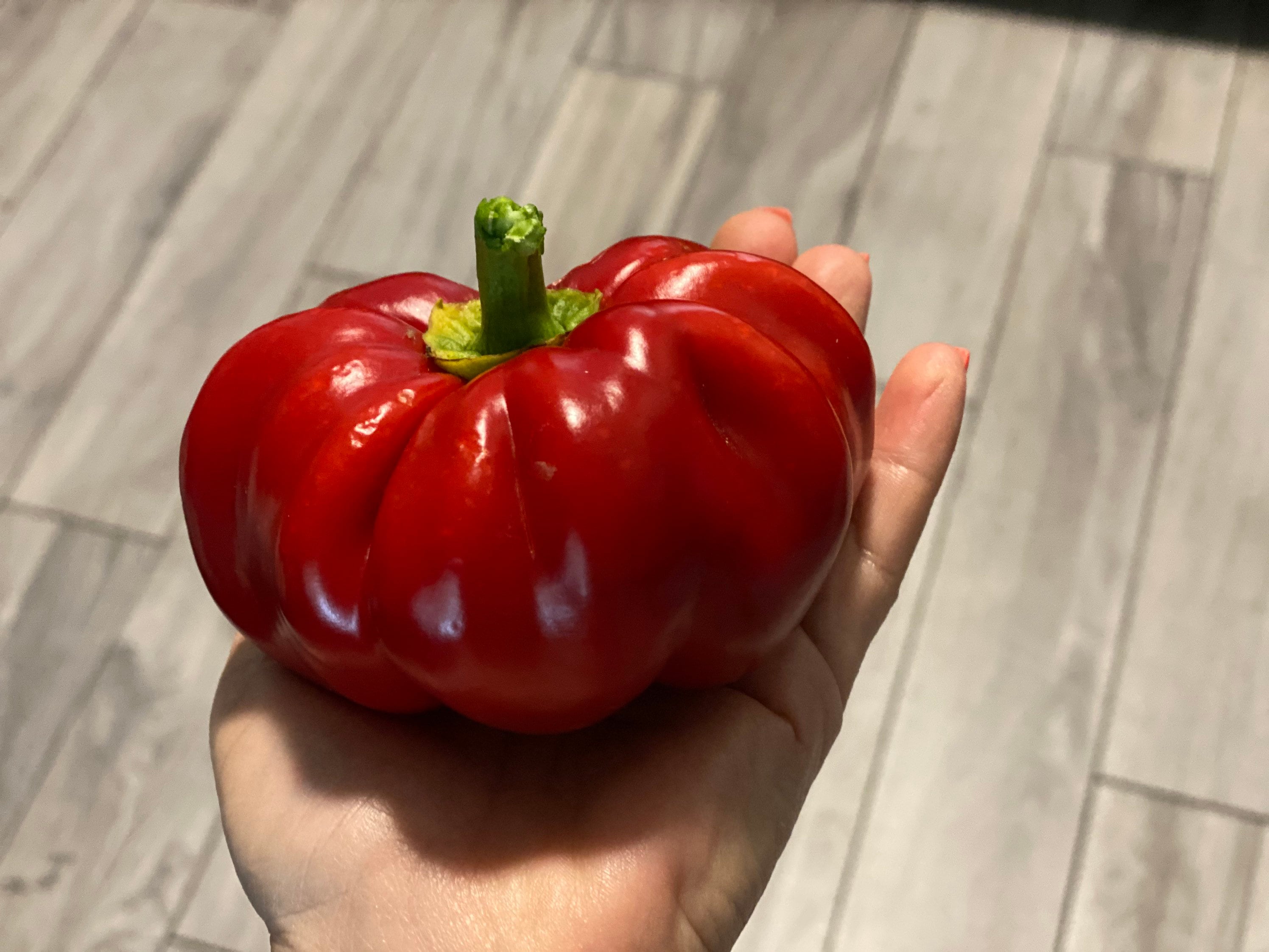 Sweet PRITAMIN pepper Hungarian variety organically grown 20 seeds