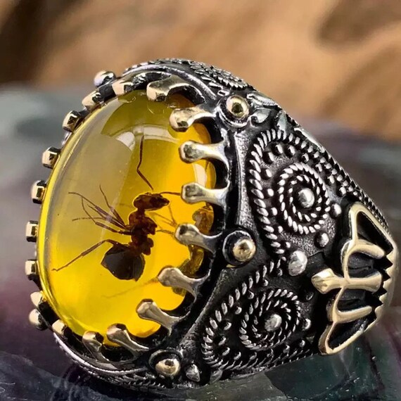 Interpreteren Kenmerkend Uit Ant Fossil Amber Stone Ring/ Fossil Insect Ring/ Amber Bug - Etsy