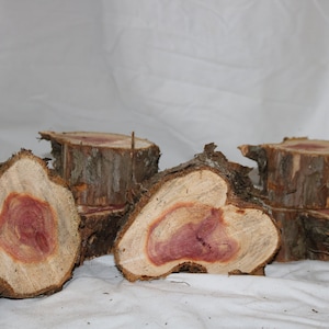 Eastern Red Cedar (Six) sliced 3 - 4 inch diameter, 2 inches thick.