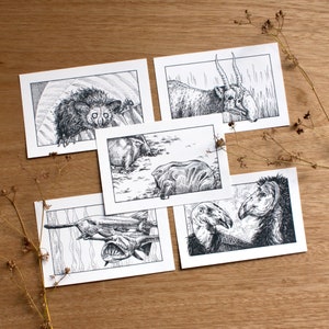 Cartes d’art : Espèces en voie de disparition laides | 5 illustrations originales