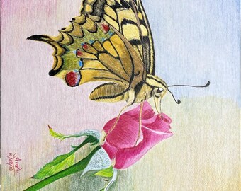 Butterfly on a rose bud