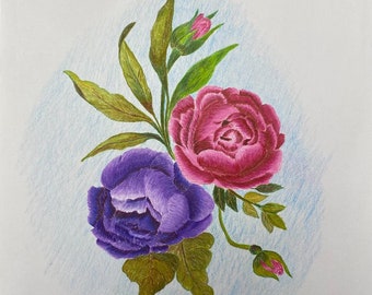 A beautiful colored pencil drawing of a rose bouquet