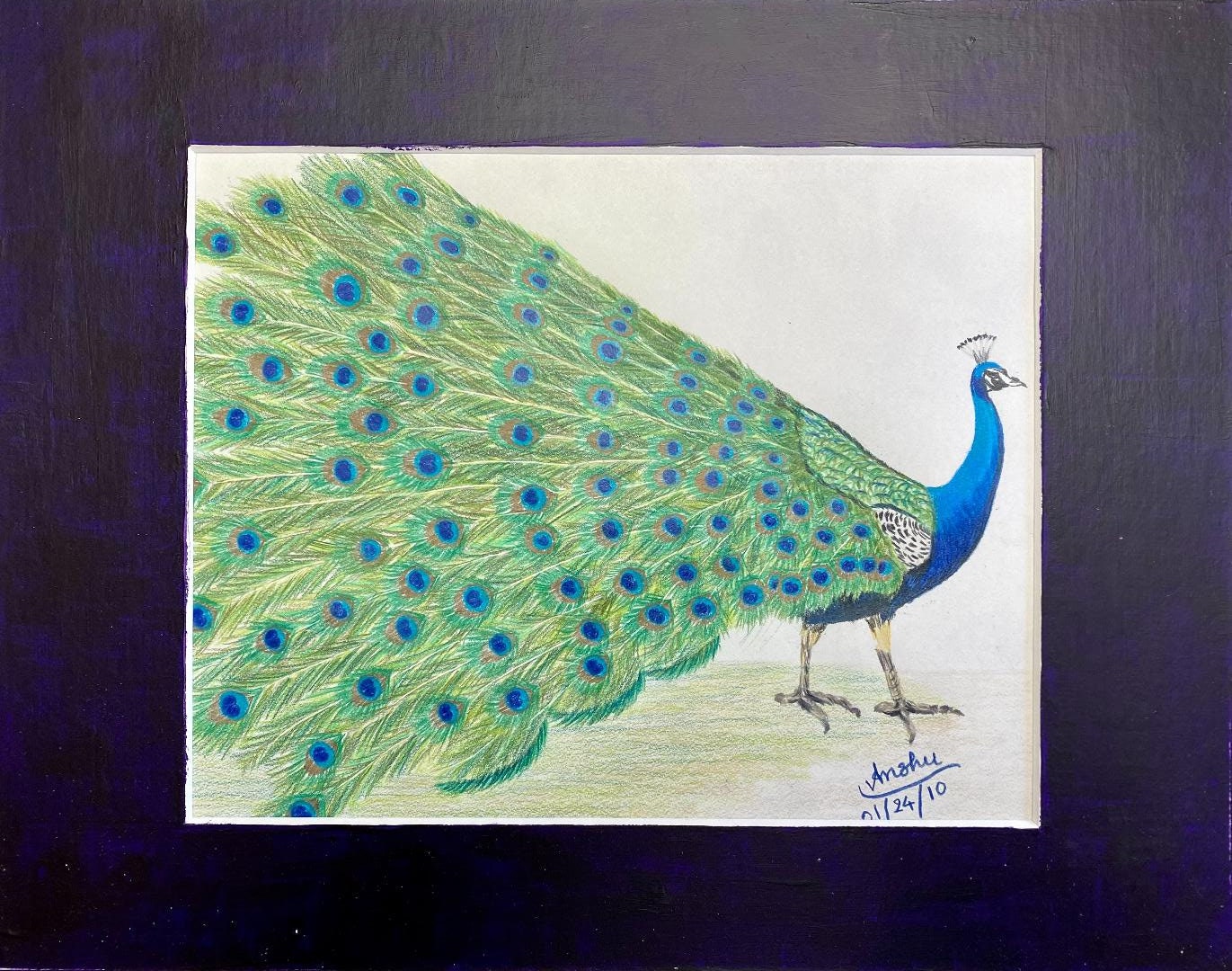 A Beautiful Colored Pencil Drawing of a Peacock - Etsy