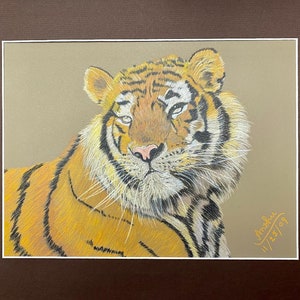 ベンガルトラの肖像画 - オリジナルの色鉛筆画 - サイズ A4 (11.75 x