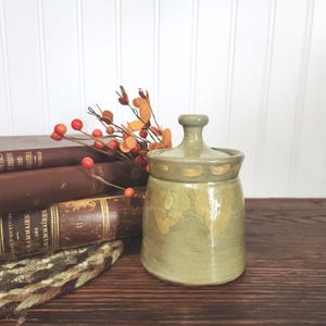 May include: A sage green ceramic jar with a matching lid featuring a knob handle and a subtle painted leaf pattern around the rim and body. The jar has a smooth, glossy finish and a cylindrical shape with a slightly wider base.