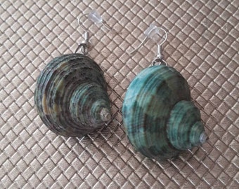 Natural seashell earrings