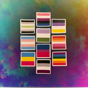 May include: A set of 12 square stickers featuring different pride flags. The flags are arranged in a grid pattern and include the transgender, bisexual, lesbian, gay, pansexual, non-binary, genderqueer, intersex, asexual, and aromantic flags.