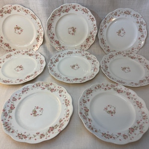 Hutschenreuther Plate - Etsy