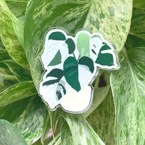 Monstera Plant Acrylic Pin - Plant Lady Gift - Hoya Plant Lover Accessory - Backpack or Jacket Green and Pink Button - Scribbled in Honey.