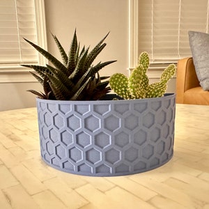 Wall Mounted Half Circle Moon Pot Planter Hexagonal Pattern