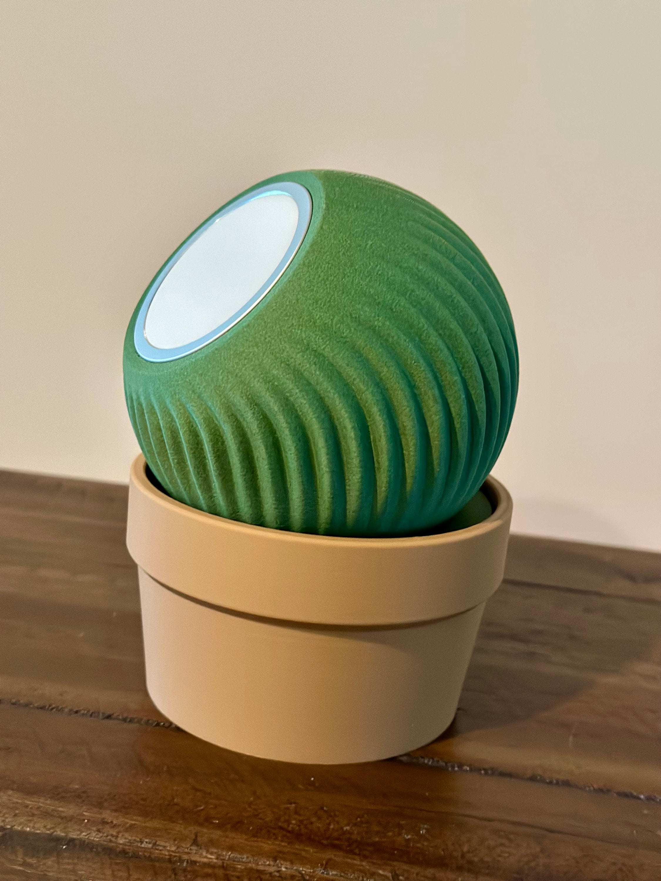 NEW 2024 Apple MagSafe iPhone Cactus Plant with Pot Charging Stand Dock