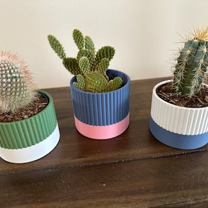 May include: Three small potted cacti in different colored planters. The planters are all two-toned, with a white base and a top color of green, blue, or pink.