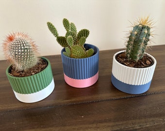 Small Succulent Plant Planter Pot Multicolor