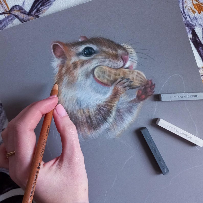 Chipmunk Original Portrait Drawing Pastel Pencil Animal Art - Etsy