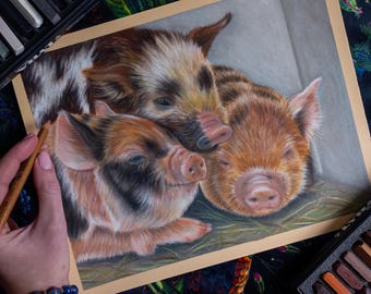Three pigs original portrait drawing pastel pencil animal art