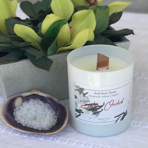 Sultry Orchid handmade soy candle - wood wick - sea salt and orchid - 100% soy wax