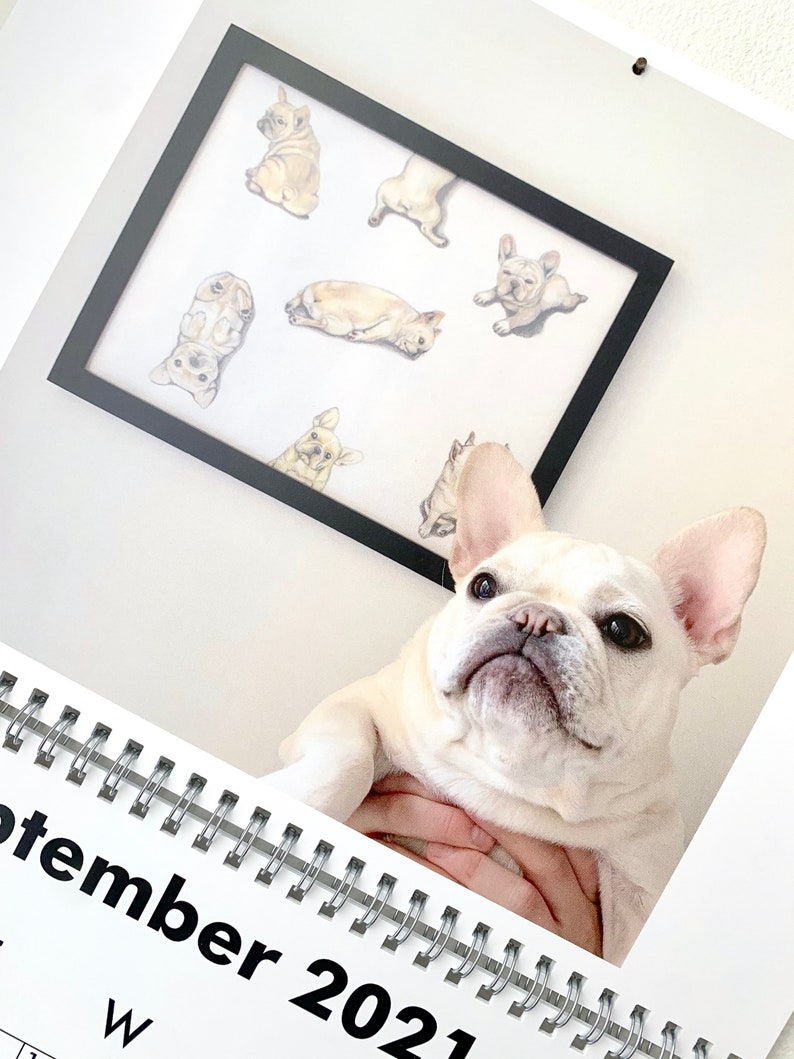 2021 French Bulldog Calendar Frenchie Wall Calendar Riley Etsy