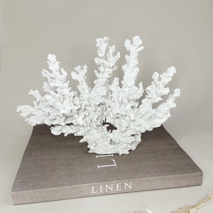 Large White Coral Ornament | Resin Ornament | Homeware | Home Fashion | Home Accessories | Sea Ornament | Decorative Book Ornament