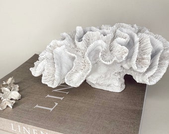 Large Coral Ornament | White Ornament | Beach Ornament | Unique Homeware | Home Fashion | Coffee Table Decor | Home Interior | Home Styling