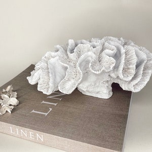 Puede incluir: Escultura de coral blanco con una superficie texturizada, sentada sobre un libro marrón con la palabra "LINEN" impresa en la portada.