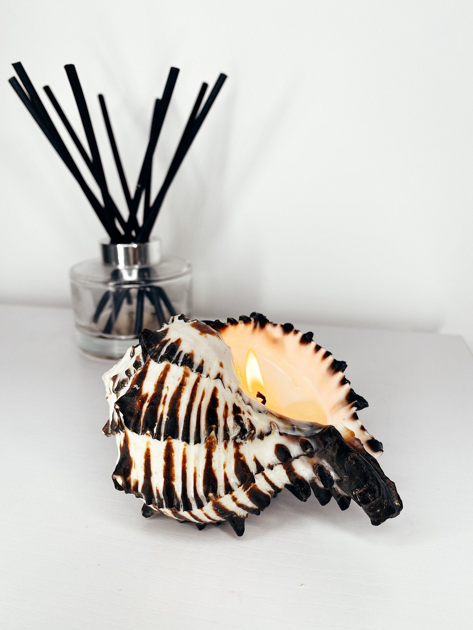 Large Shell Candle Black Murex Shell Candle Beach Candle Etsy