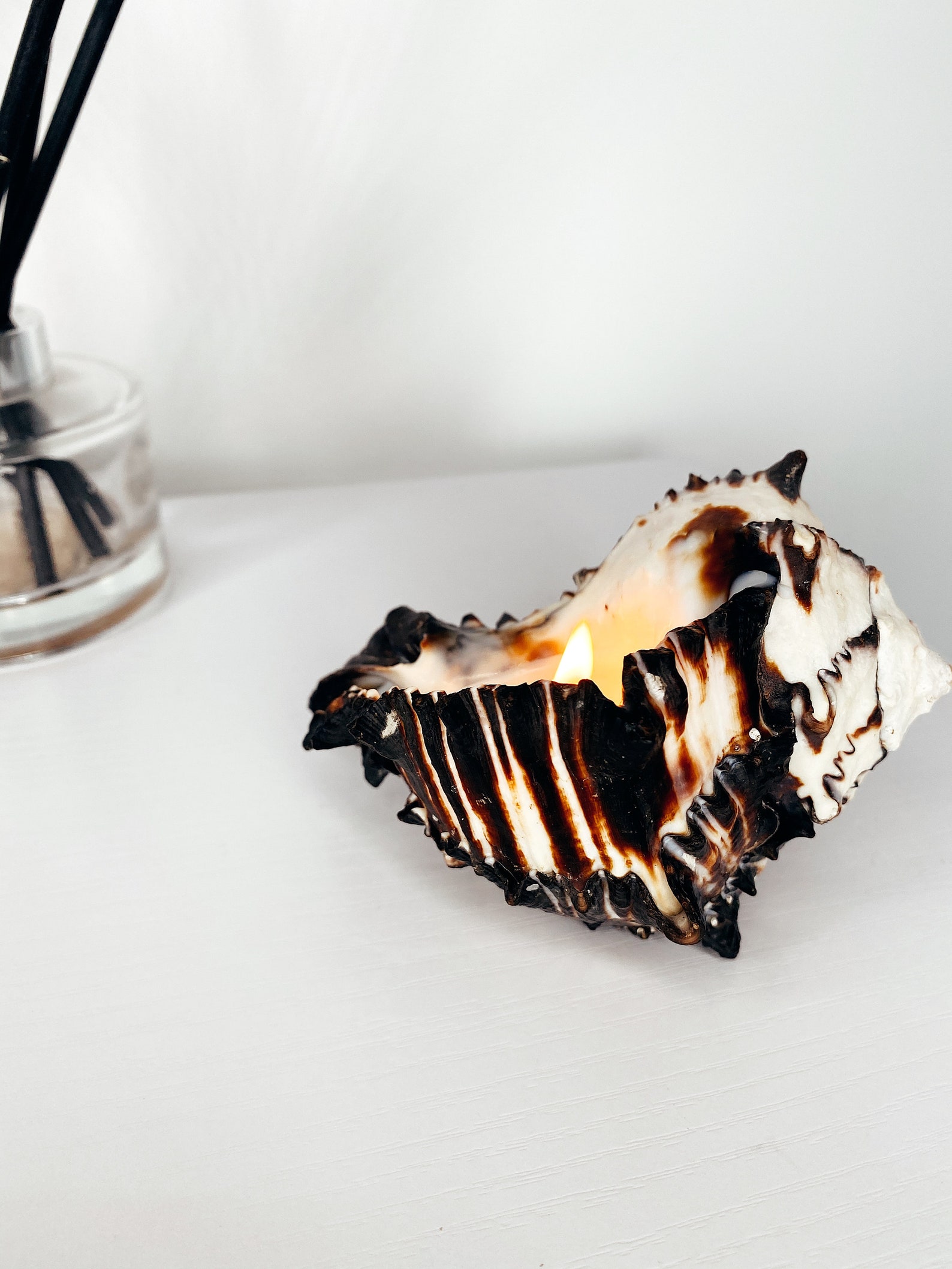 Large Shell Candle Black Murex Shell Candle Beach Candle Etsy