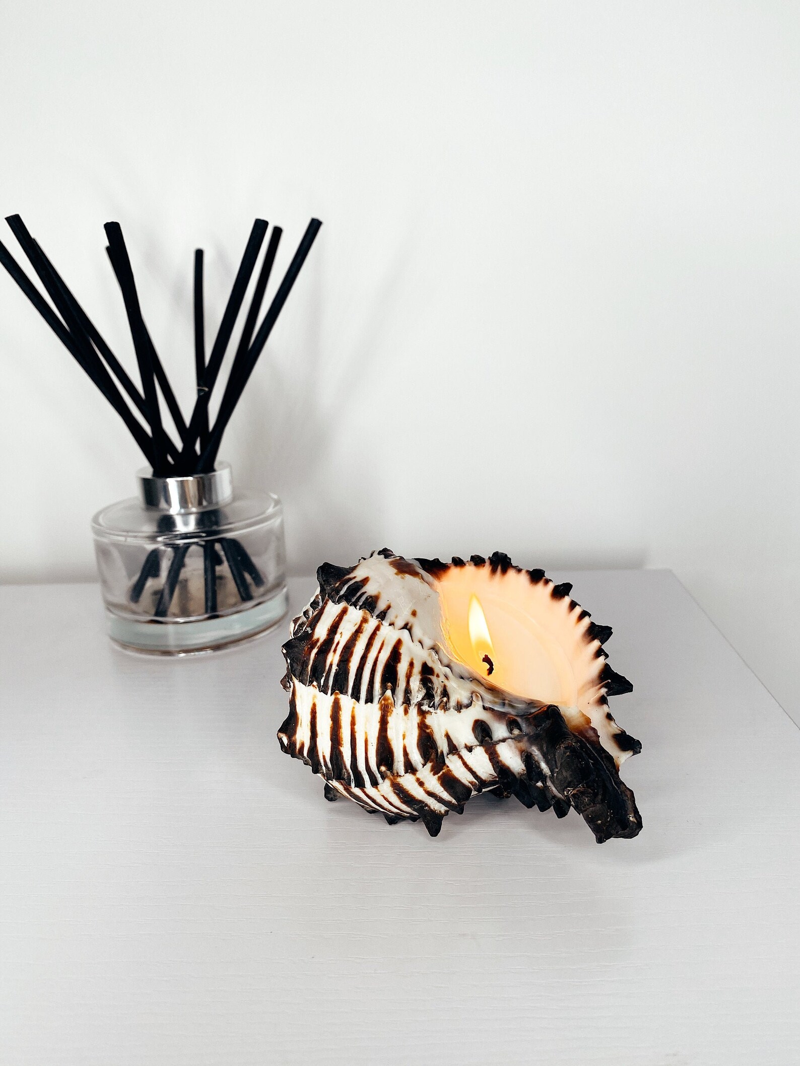 Large Shell Candle Black Murex Shell Candle Beach Candle Etsy